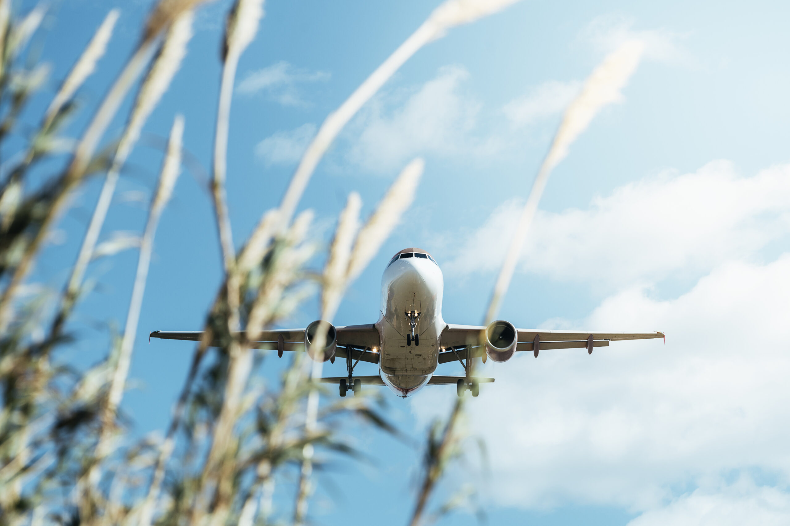 Biofuel leaders are seeking certainty from the Treasury Department when it comes to U.S. production of sustainable aviation fuel (SAF).
