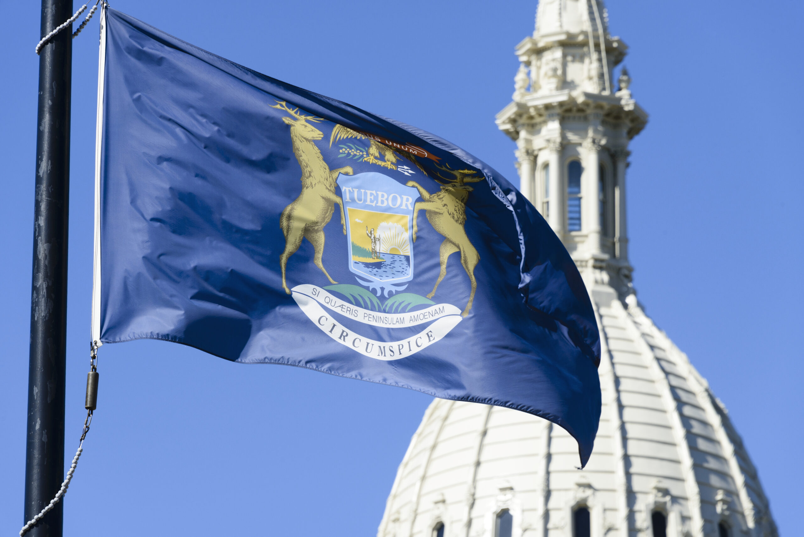 Michigan Governor Gretchen Whitmer vetoed the state's E15 tax incentive.