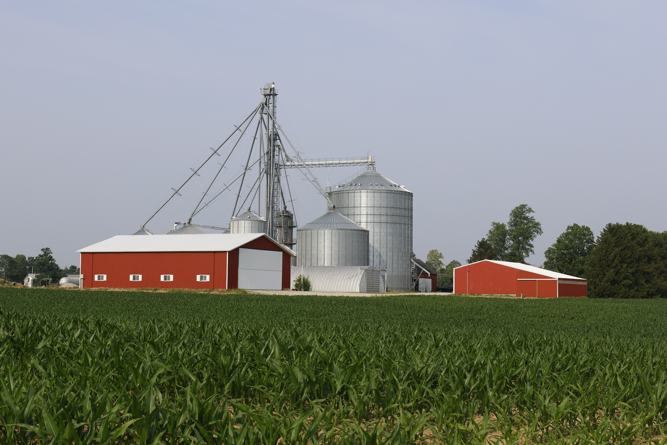 The updates to 45Z will allow more biofuel producers to claim the credit.
