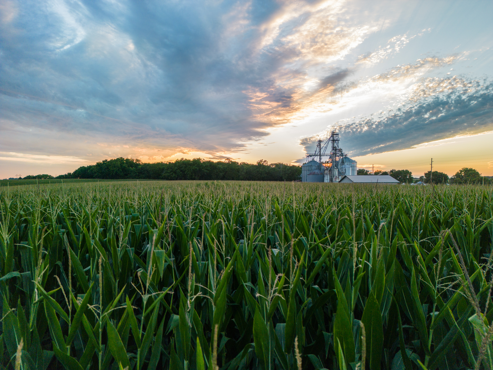 The WASDE report indicated that the 2025-2026 corn crop would set a new record, illustrating the need for year-round E15 according to Growth Energy.